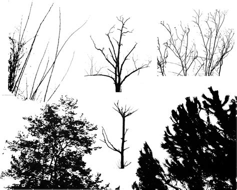 This photoshop brush set can be downloaded for free on deviantart. Tree Silhouettes | Photoshop Brushes For Free | 123Freebrushes