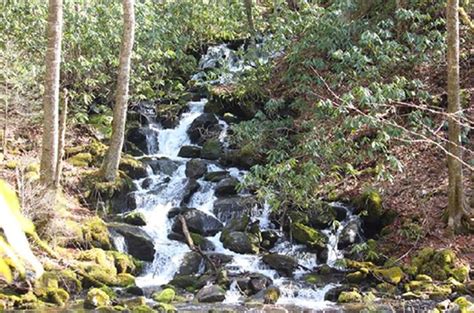 The Horseback Waterfall Tour In North Carolina Thats