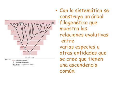 Biología Sistemática