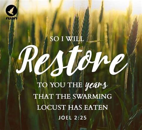 Whatever Youve Lost Come To God He Can Restore It Back To You