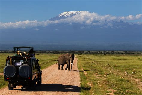 Amboseli Safari