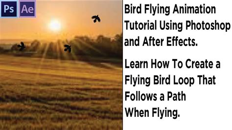 Bird Flying Animation Tutorial Using Photoshop And After Effects Youtube