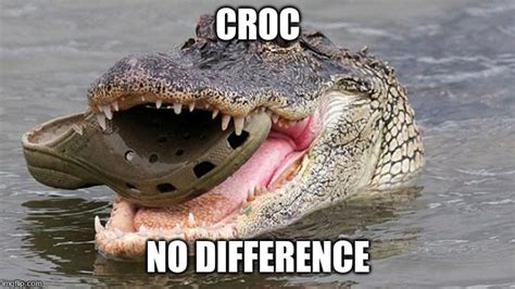 Croc Imgflip