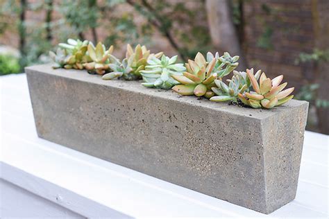 Diy geometric concrete planters made from a cardboard mold. Concrete Sugar Mold - A Rustic, Industrial Home Decor ...