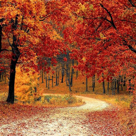 11 reasons why fall is the best season