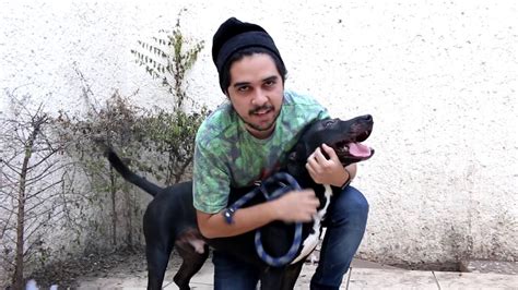 Como Matar A Un Perro Facil Y Rapido Youtube