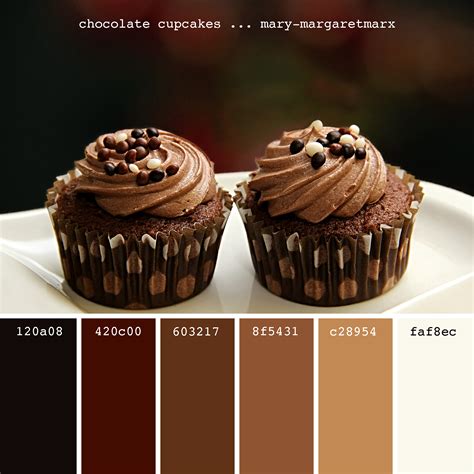 Chocolate Cupcakes Mary Margaretmarx Color Colors Colour