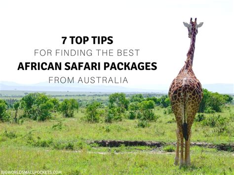 African Safari Packages From Australia 7 Top Tips For Finding The