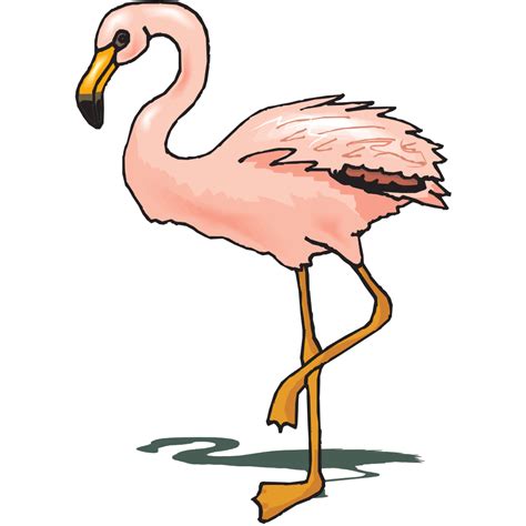 Standing Flamingo Png Svg Clip Art For Web Download Clip Art Png