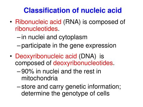 Ppt Chapter 3 Structures And Functions Of Nucleic Acids Powerpoint