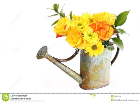 Yellow Bouquet Of Spring Flowers In Watering Can Royalty