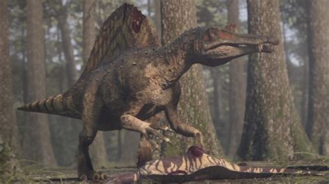 Spinosaurus Planet Dinosaur Wiki