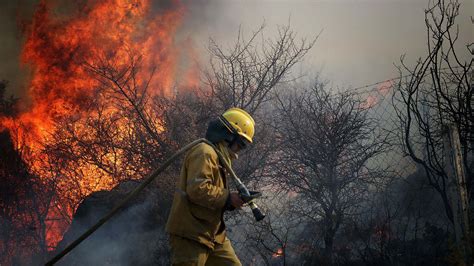 Incendios Forestales En Sante Fe El Gobierno Provincial Combate Focos