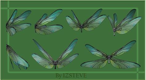 Dragonfly Wings Set 01 By Izsteve On Deviantart