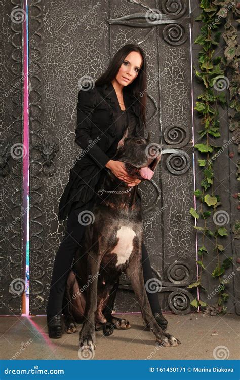 Beautiful Young Woman Posing With Her Great Dane Dog In The Studio Near