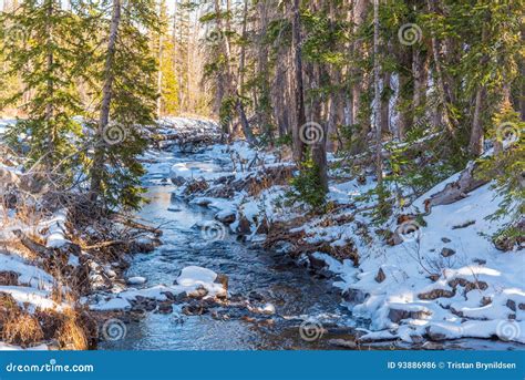 Snowy Creek Stock Photo Image Of River National Cold 93886986