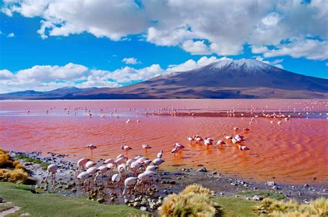 A Bolivia Salt Flats Tour In Uyuni Everything You Need To Know The