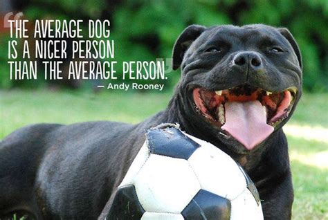 Pitbull Dogs Quotes Inspirational Quotesgram