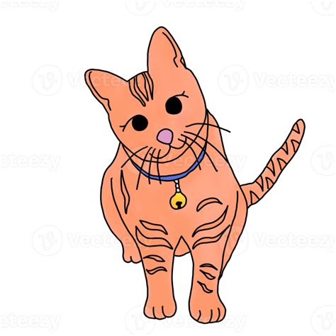 Cute Orange Cat 25272051 Png