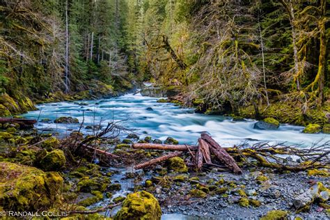 Olympic National Forest Global Sojourns Photography