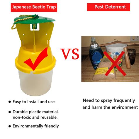 Outdoor Reusable Plastic Insect Control Popillia Japonica Catcher