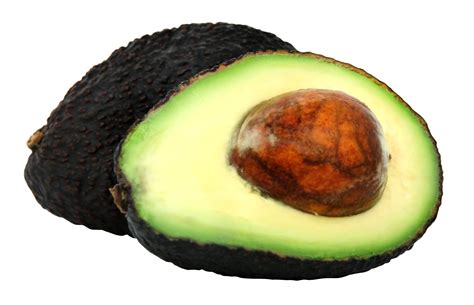 Avocado Png Datei Png All