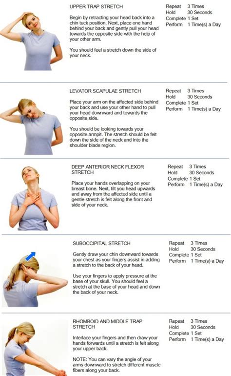 Neck Stretches Active Chiropractic
