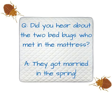 Bed Bug Joke Bugpun Insects Fridaybugfun Fun Bug Puns Pinterest