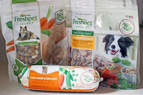 When it comes to your pet's food, one size doesn't fit all. Fresh Dog Food Creates a Feasting Frenzy | A Magical Mess