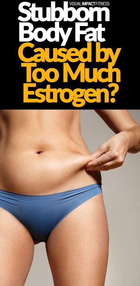 Some Of The Foods We Eat Can Cause Estrogen Levels To Rise In A Way