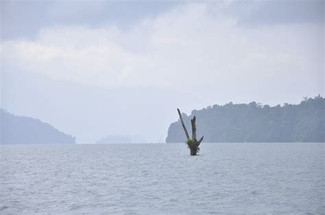The lake provides water to the sultan mahmud power station. PENJEJAK BAYANGAN: Percutian di Rumah Peranginan ...