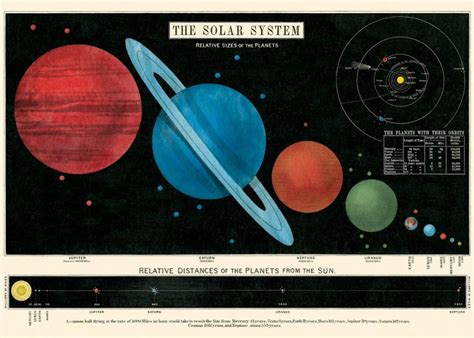 Vintage Poster Solar System 70x50cm Animaux Spéciaux