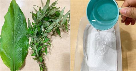 Sedang mencari resep sup ikan yang akan membuat lidahmu bergoyang? Cara Simpan Daun Kunyit, Pudina & Kesum, Tetap Segar Walau ...