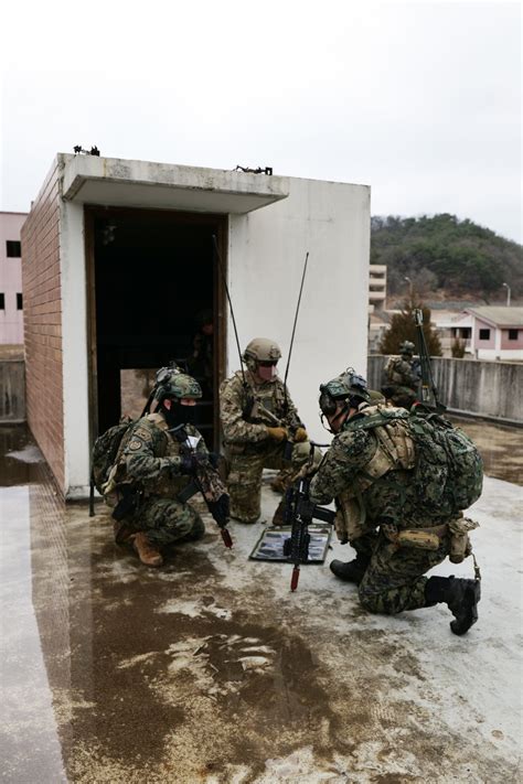 Dvids Images Us And Rok Special Forces Conduct Joint Fires And