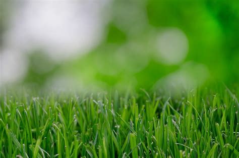 Maybe you would like to learn more about one of these? Ultimate Guide on How to Install Artificial Grass on Concrete
