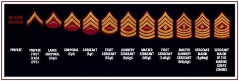 Usmc Enlisted Ranks Chart Helpful For The New Milso And Milspouses