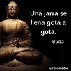 +100 Frases de Buda sobre la Vida, Amor y Más