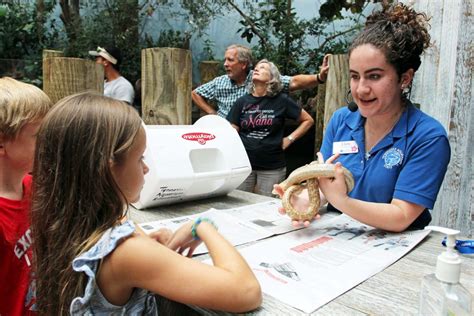 Diversity Fellowship Renamed For Aquarium Pioneer Jim Hill · Tennessee
