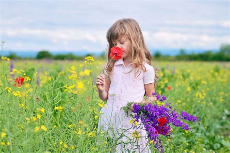 Parents Warned They Could Be Fined £5k If Children Pick Flowers Outside