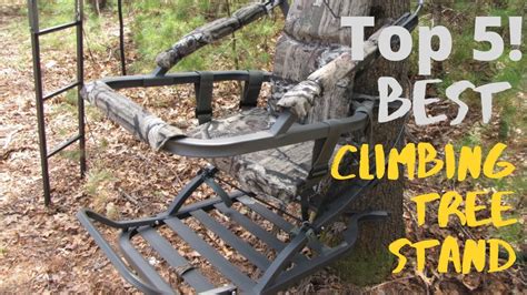 Best Climbing Tree Stand For Bow Hunting Youtube