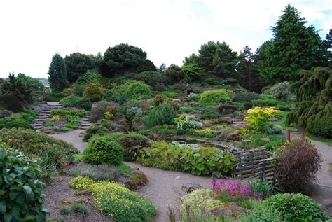 Jason Lattier's Garden Journal: RGB Edinburgh Rock Garden