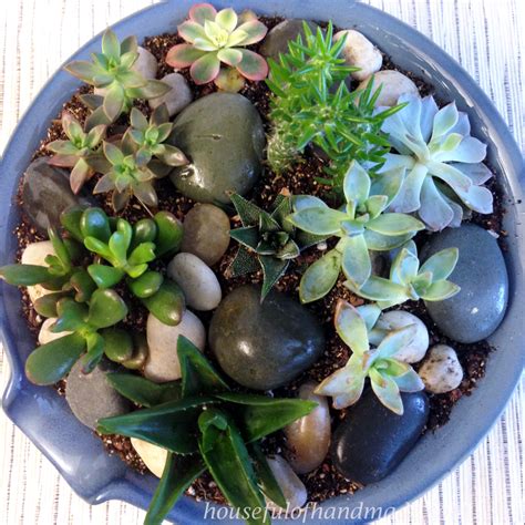 Easy Indoor Succulent Rock Garden • Crafting My Home
