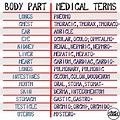 asapscience: “Here’s a little chart to help you remember medical ...