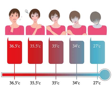 Como O Ser Humano Mantém Sua Temperatura Corporal