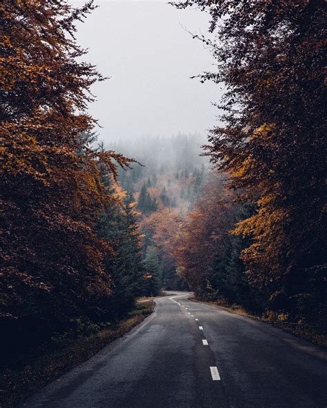An Autumn Drive Romania Nature Photography Landscape Autumn Drives