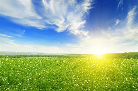 Royalty Free Sunny Sky Pictures Images And Stock Photos Istock