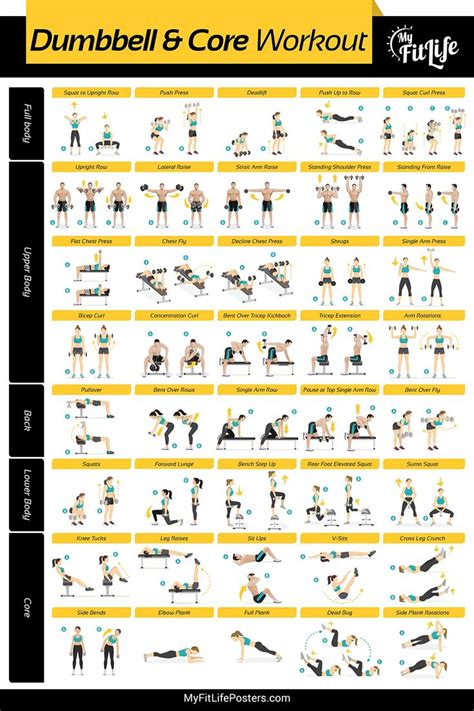My Fit Life Gym Dumbbell And Core Workout Poster Laminated Illustrated Guide With