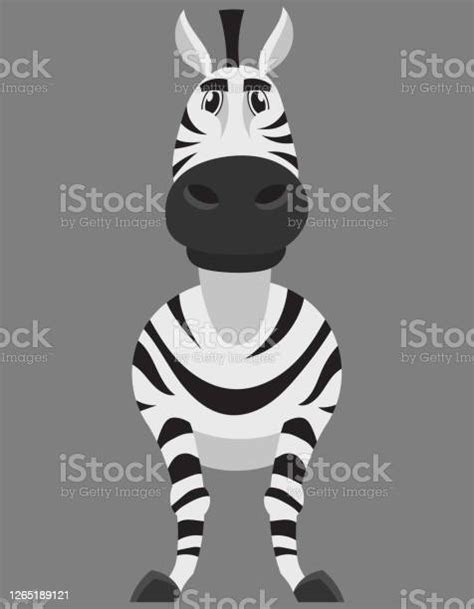 Standing Zebra Front View Stock Illustration Download Image Now Istock