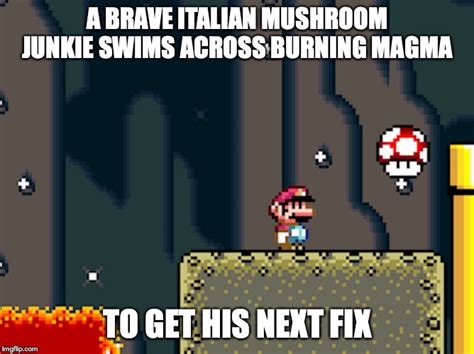 Magic Mushroom Imgflip