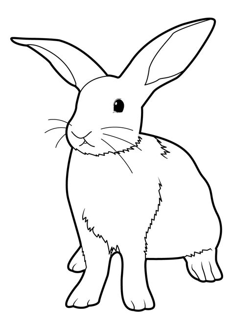 Dessin Facile Lapin Coloring Pages